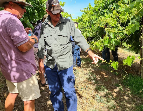 Our Projects - Mallee Sustainable Farming